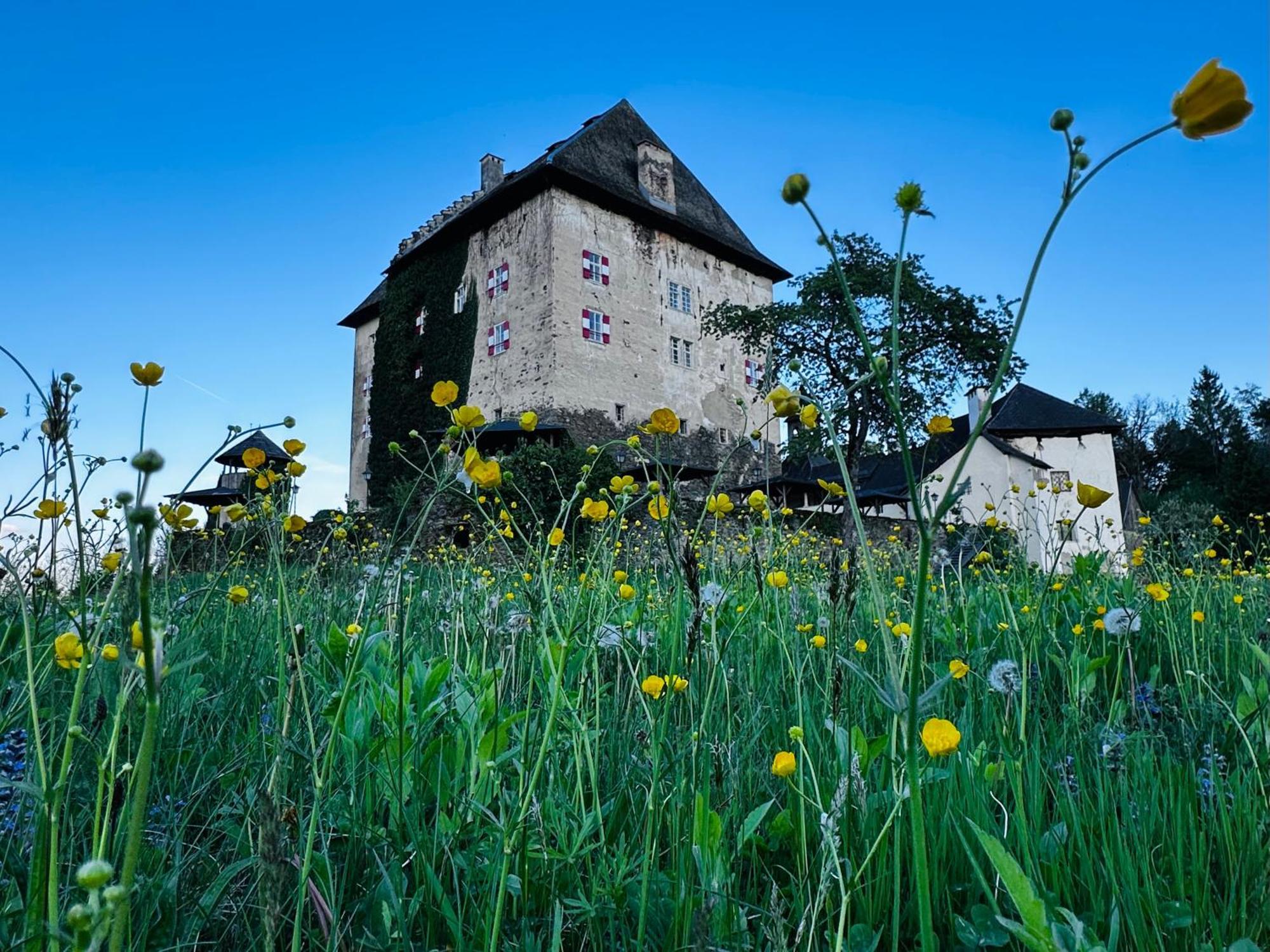 Schloss Moosburg Gaestehaus Eksteriør billede